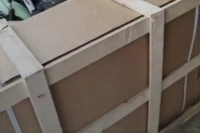 Kenya EV sample coordination case example